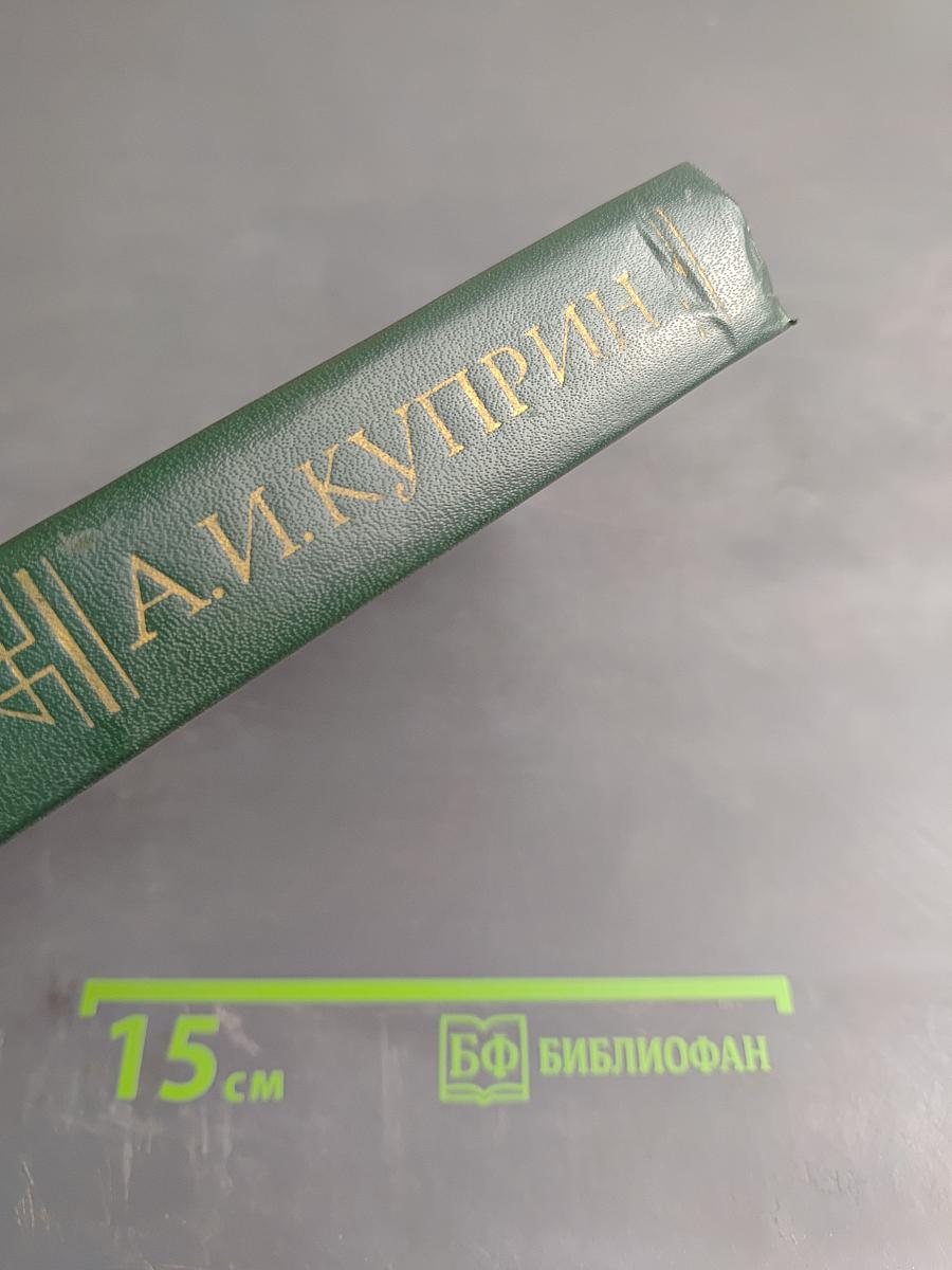 Собрание сочинений в пяти томах. Том 2: Повести и рассказы 1901-1905