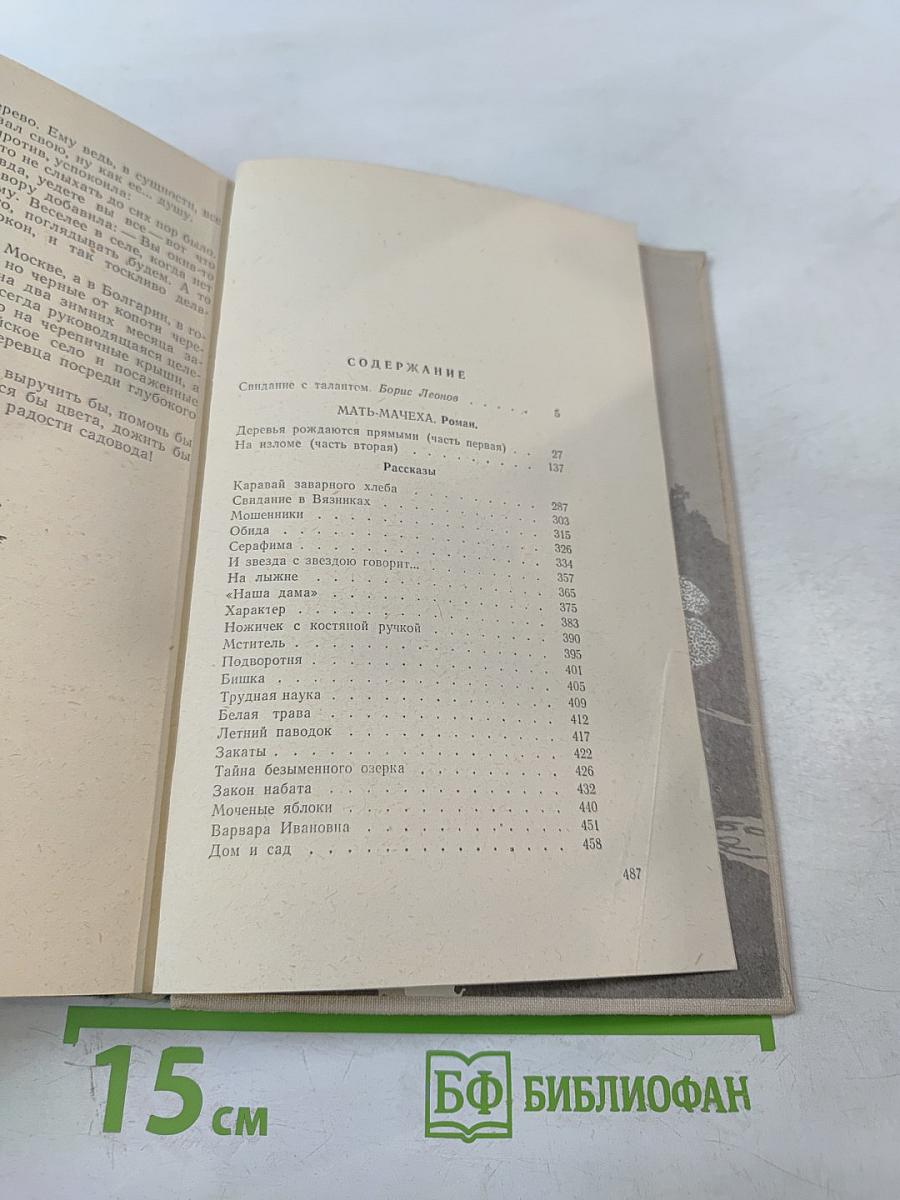 Мать-мачеха. Роман. Рассказы