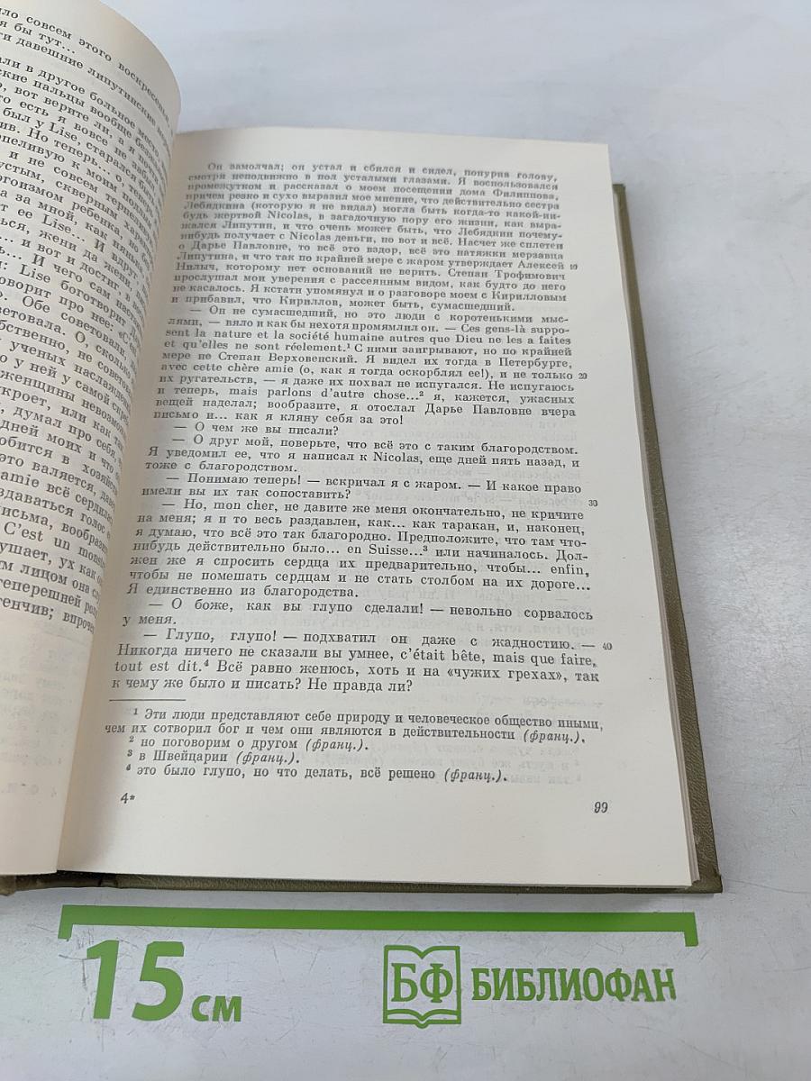 Бесы. Том десятый