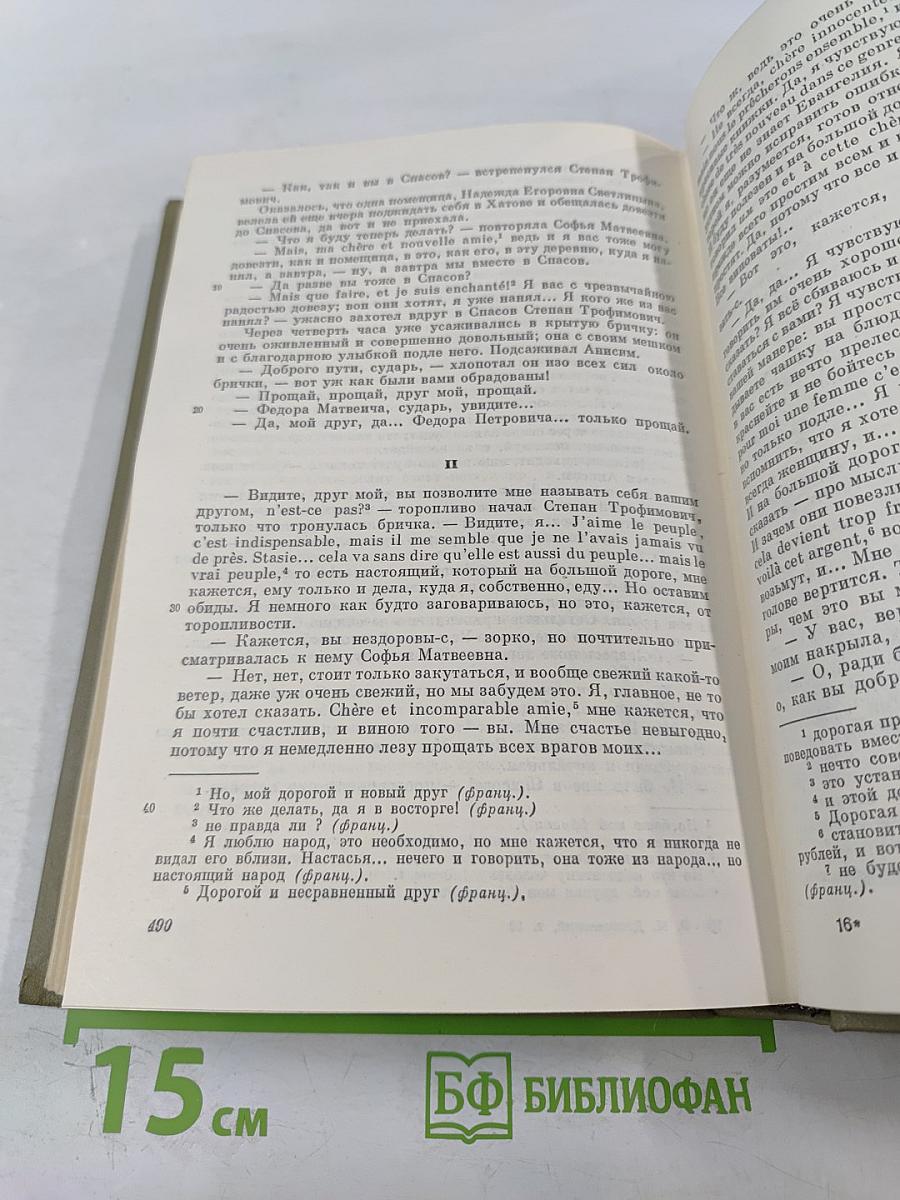 Бесы. Том десятый