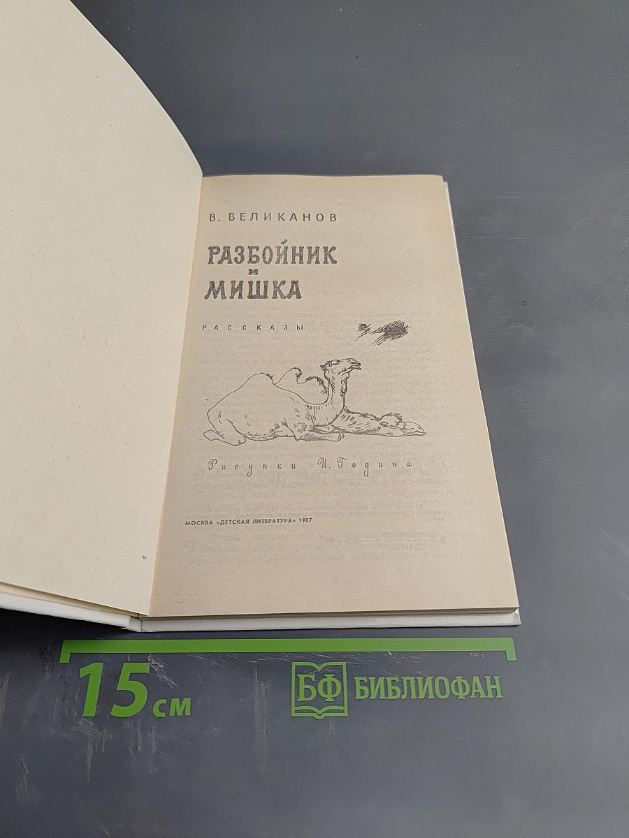 Разбойник и Мишка