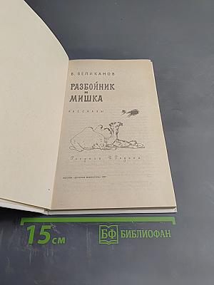 Разбойник и Мишка