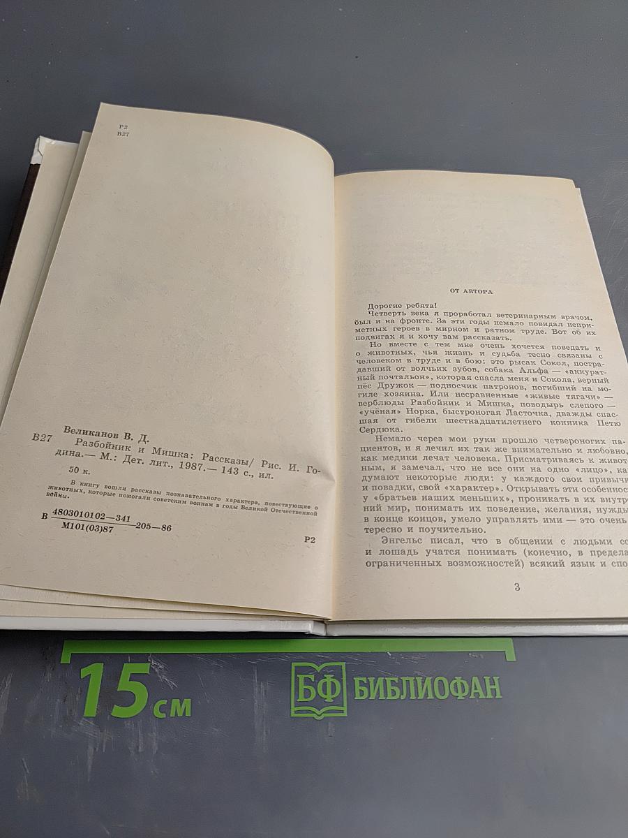 Разбойник и Мишка