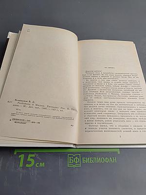 Разбойник и Мишка