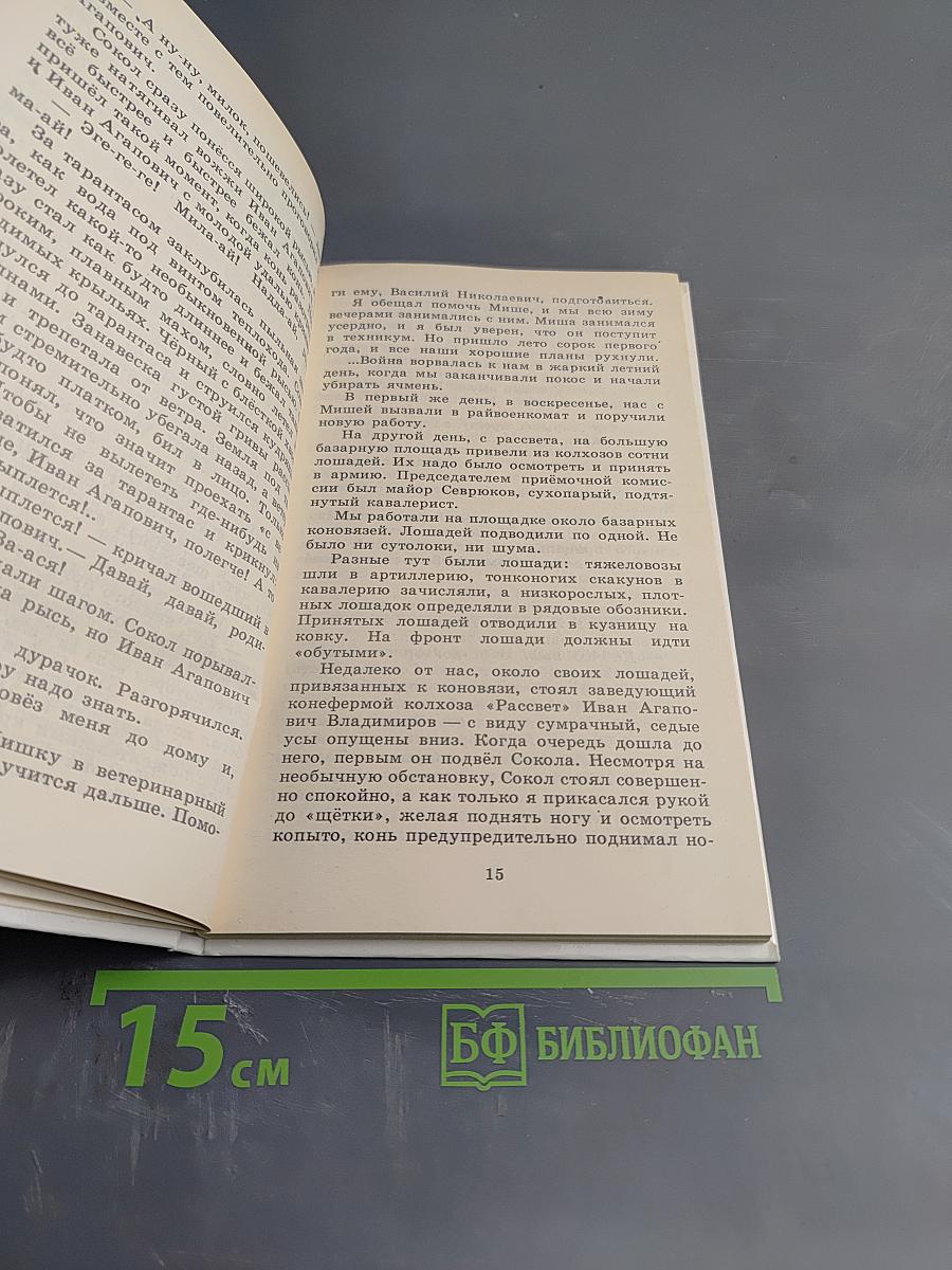 Разбойник и Мишка