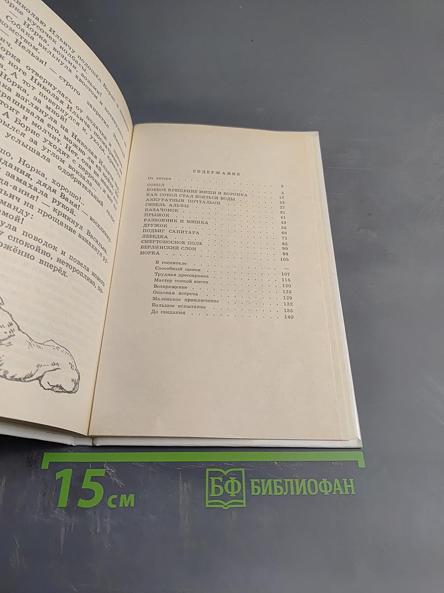 Разбойник и Мишка