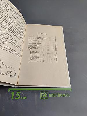 Разбойник и Мишка