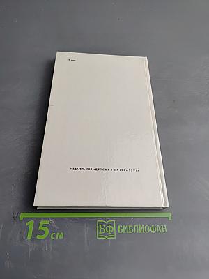 Разбойник и Мишка