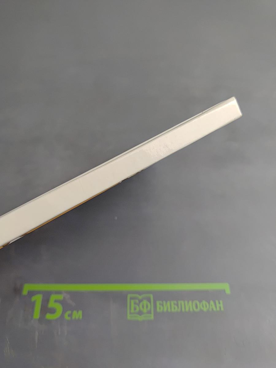 Разбойник и Мишка