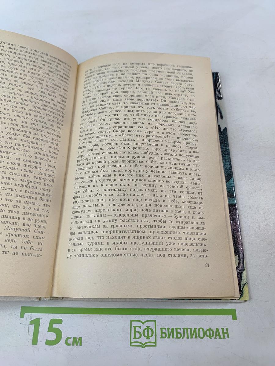 Осень Патриарха