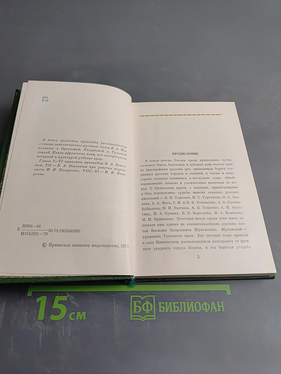 Минувших дней очарованье