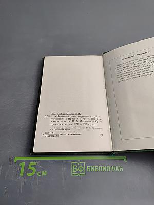 Минувших дней очарованье