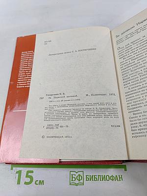 За Нарвской заставой