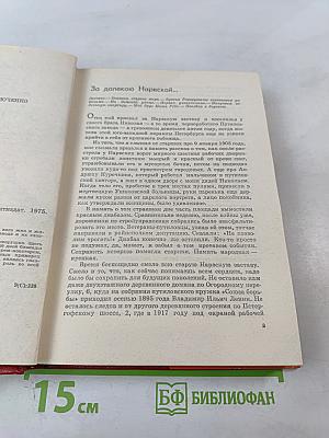 За Нарвской заставой