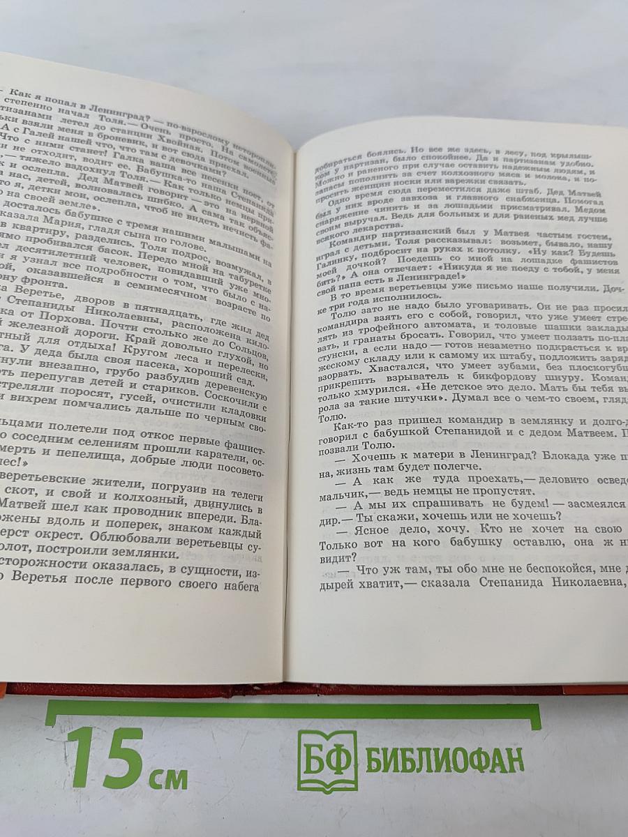 За Нарвской заставой