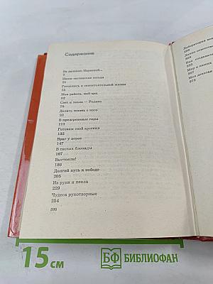 За Нарвской заставой