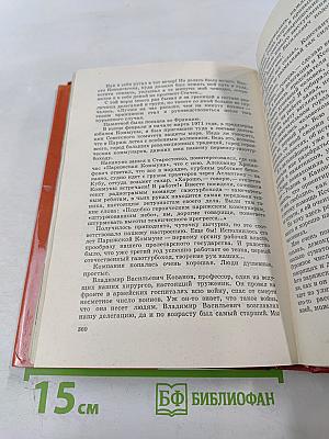 За Нарвской заставой