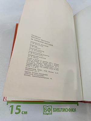 За Нарвской заставой