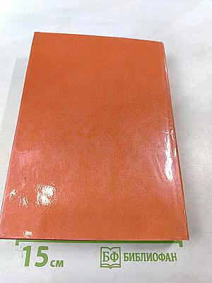 За Нарвской заставой