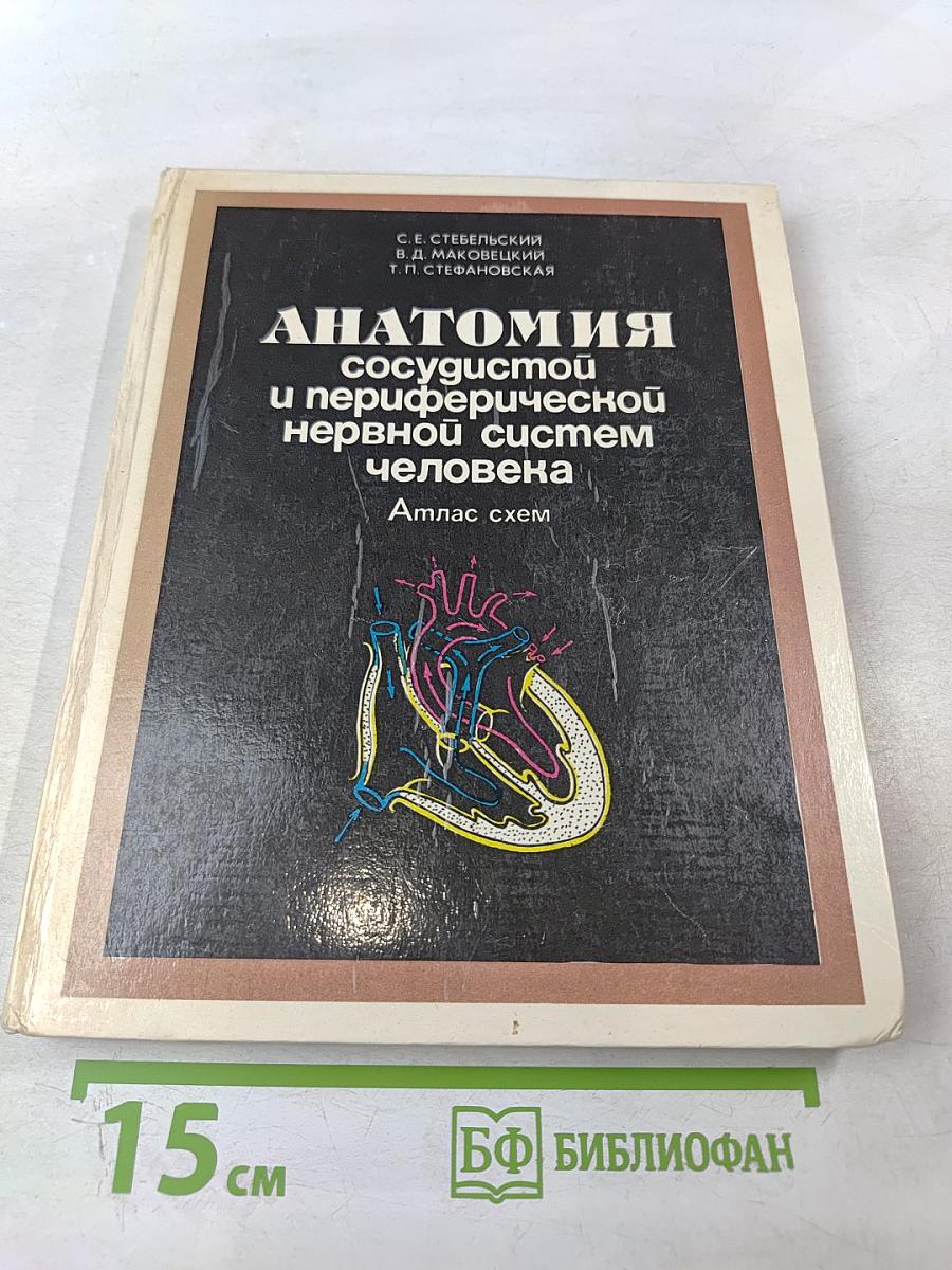 Анатомия сосудистой и периферической нервной систем человека. Атлас схем