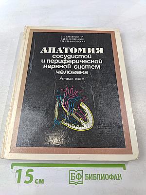 Анатомия сосудистой и периферической нервной систем человека. Атлас схем