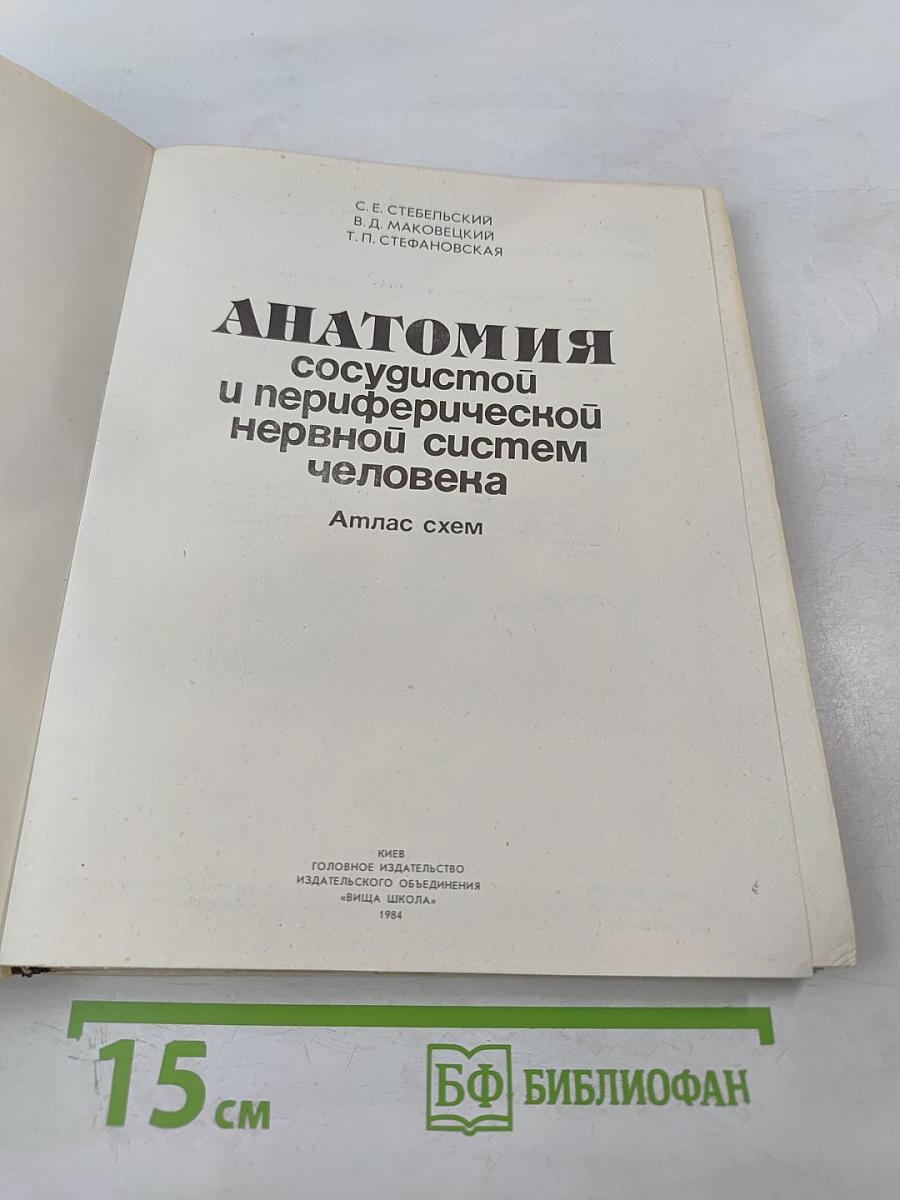 Анатомия сосудистой и периферической нервной систем человека. Атлас схем