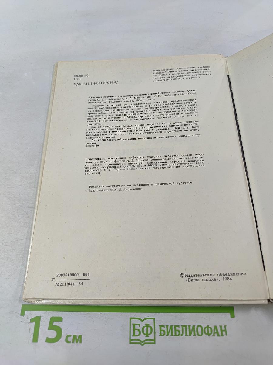 Анатомия сосудистой и периферической нервной систем человека. Атлас схем