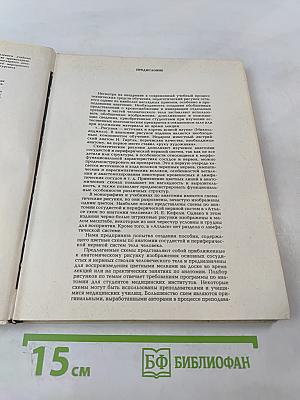 Анатомия сосудистой и периферической нервной систем человека. Атлас схем