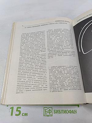 Анатомия сосудистой и периферической нервной систем человека. Атлас схем