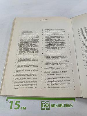 Анатомия сосудистой и периферической нервной систем человека. Атлас схем