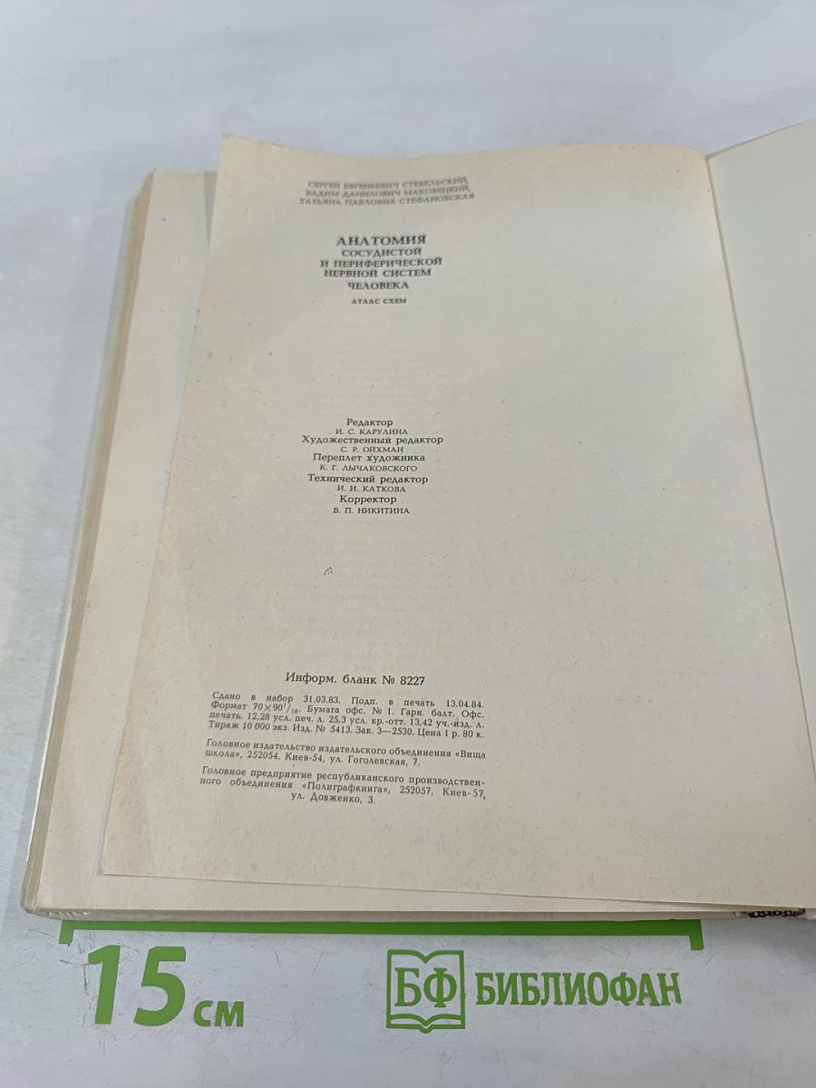 Анатомия сосудистой и периферической нервной систем человека. Атлас схем
