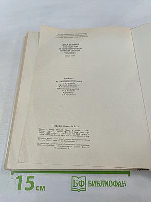 Анатомия сосудистой и периферической нервной систем человека. Атлас схем