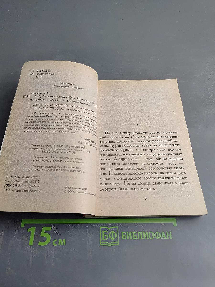 ЧП районного масштаба