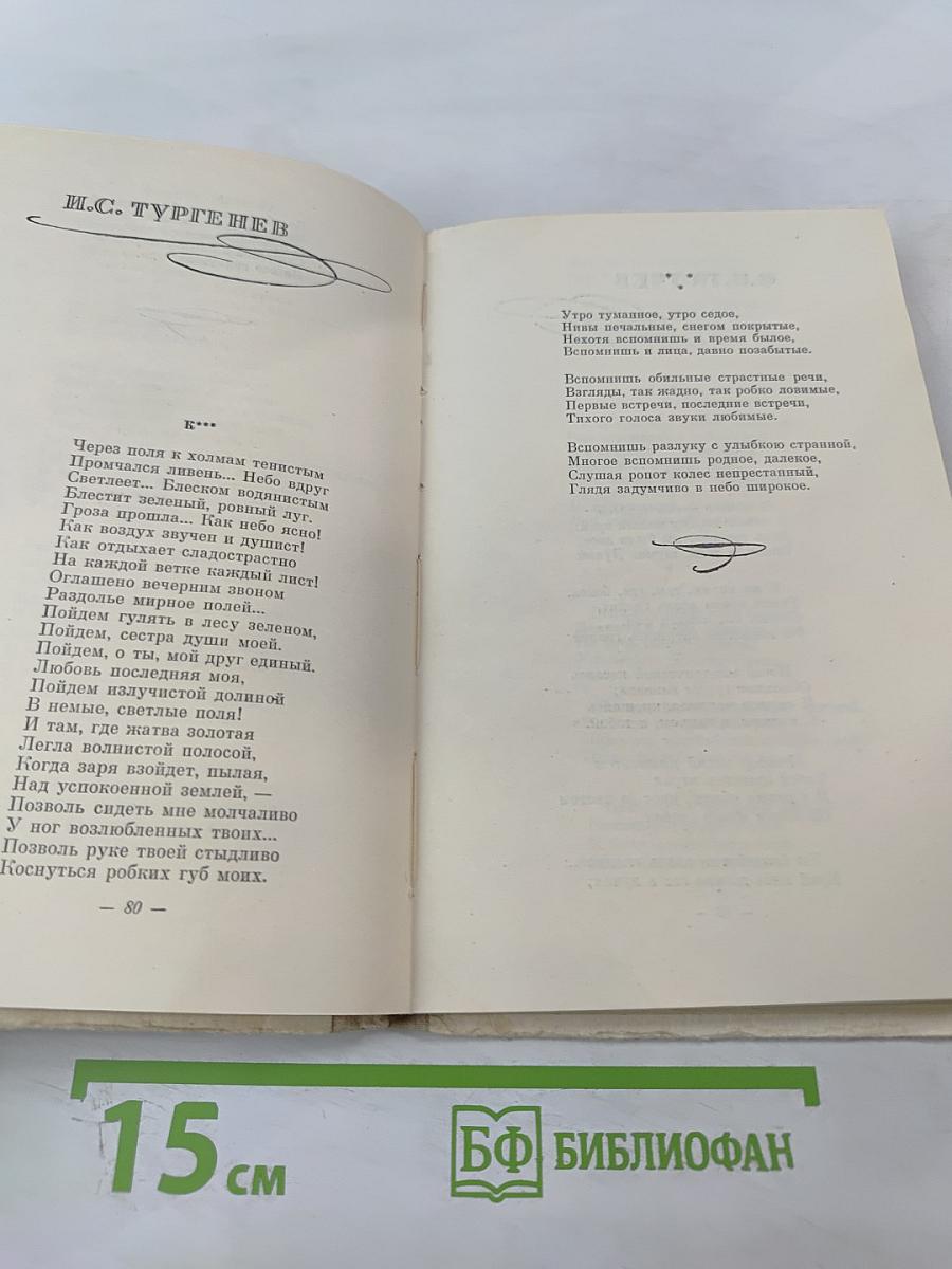 О любви и дружбе: Избранные стихи русских поэтов XIX века