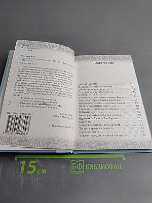 Звездопад на каждый день