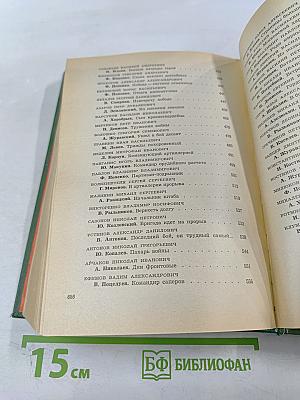 Герои огненных лет. Книга четвертая