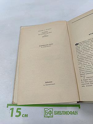 Власть без славы. Книга первая