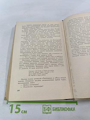 Власть без славы. Книга первая