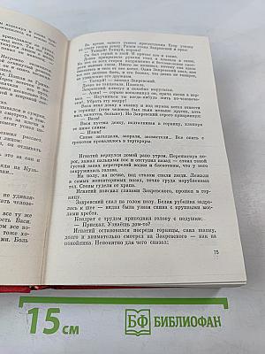 Василий Шукшин. Избранные произведения в двух томах. Том 2
