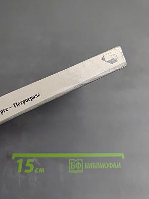 Рерих в Петербурге-Петрограде