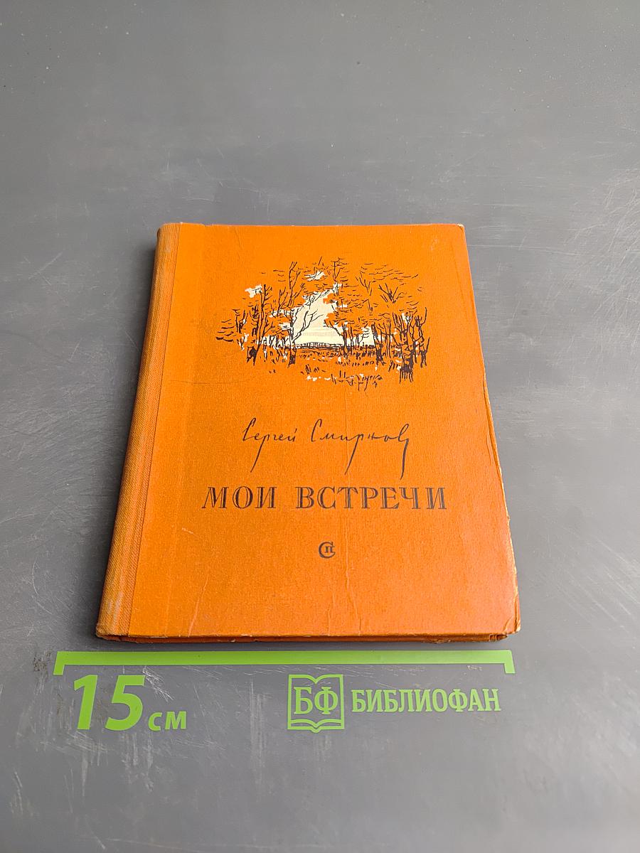 Мои встречи. Стихи