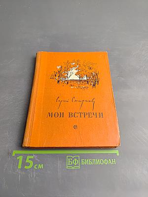 Мои встречи. Стихи