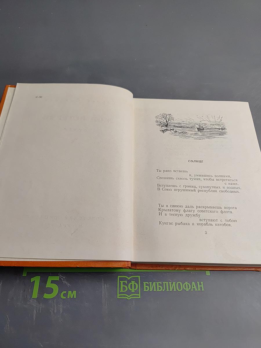 Мои встречи. Стихи