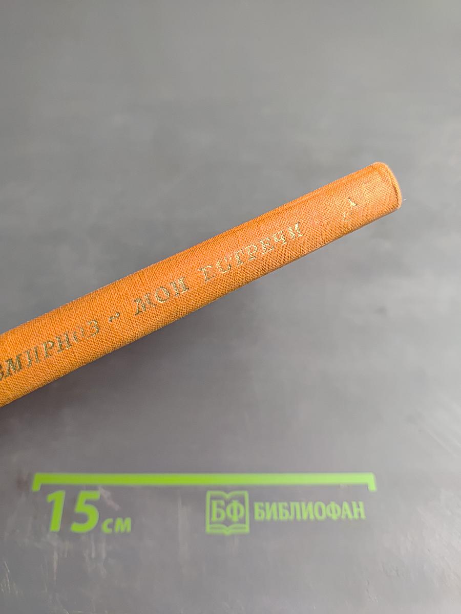 Мои встречи. Стихи