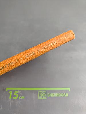 Мои встречи. Стихи