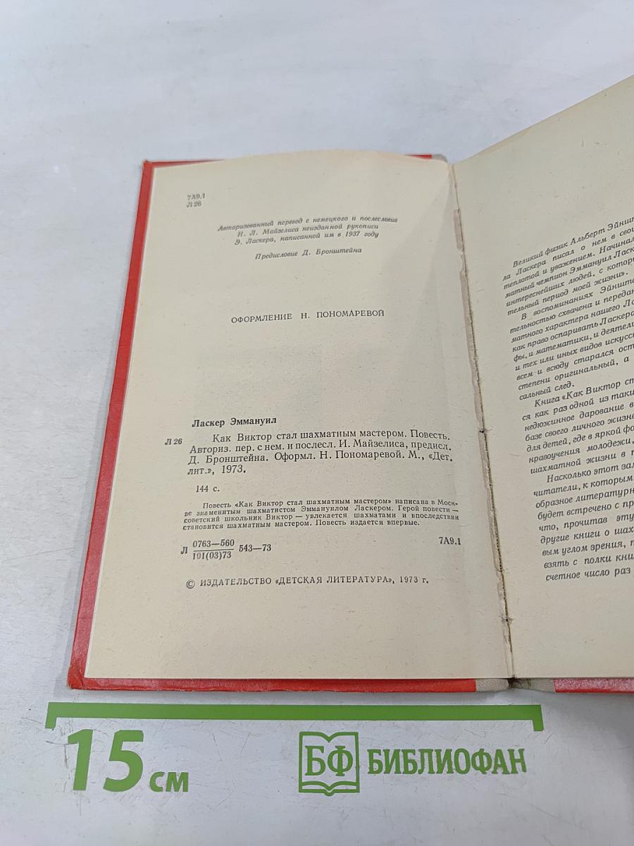 Как Виктор стал шахматным мастером