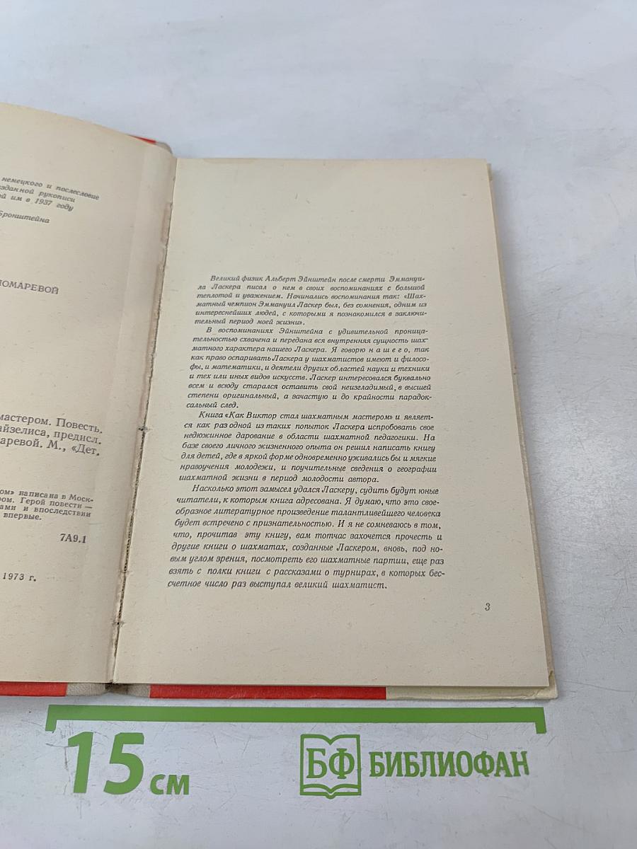 Как Виктор стал шахматным мастером