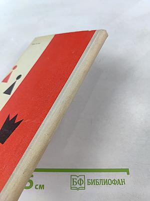 Как Виктор стал шахматным мастером