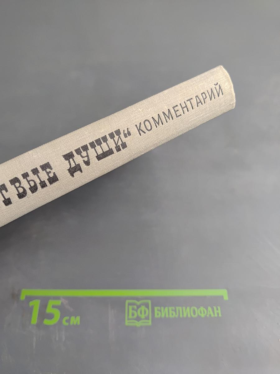 Поэма Н.В. Гоголя "Мертвые души". Комментарий