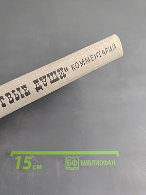 Поэма Н.В. Гоголя "Мертвые души". Комментарий